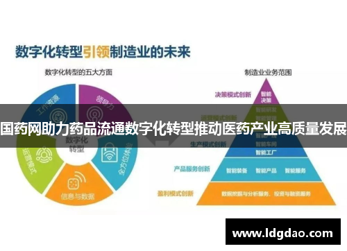 国药网助力药品流通数字化转型推动医药产业高质量发展