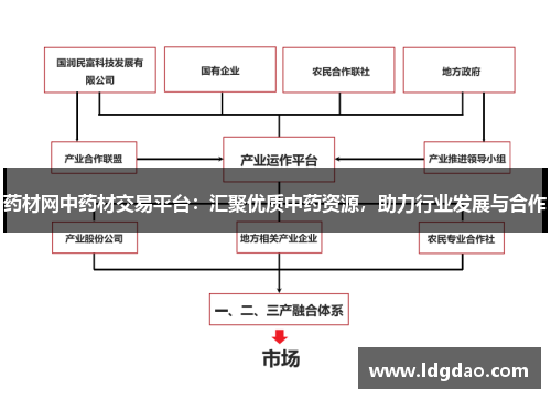 药材网中药材交易平台：汇聚优质中药资源，助力行业发展与合作